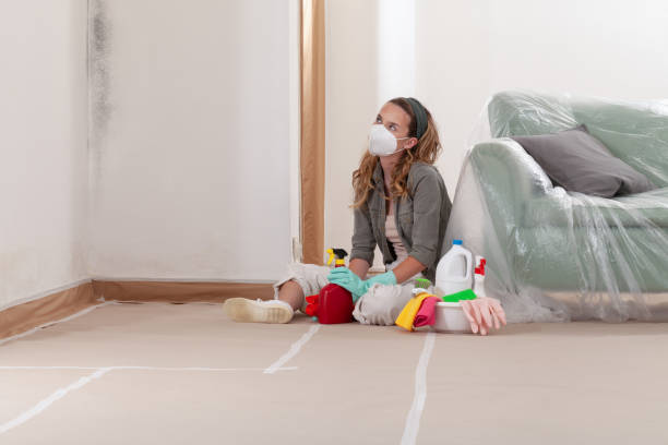 Reliable Mold Testing contractor in Uniondale, NY by WQB Mold Removal